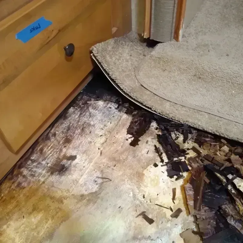 Wood Floor Water Damage in Vermilion-on-the-Lake, OH